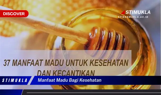 manfaat madu bagi kesehatan