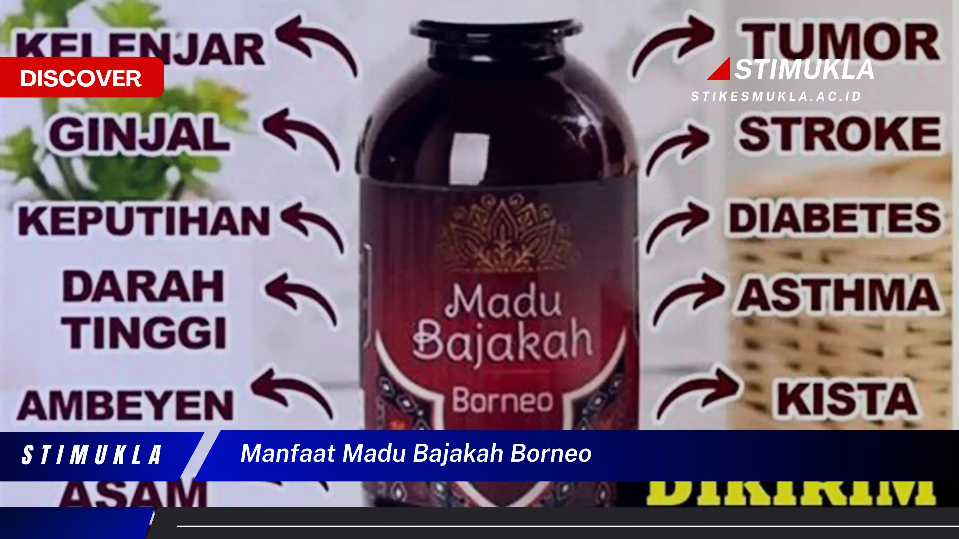 Ketahui 10 Manfaat Madu Bajakah Borneo yang Wajib Kamu Intip