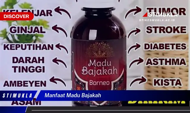 manfaat madu bajakah