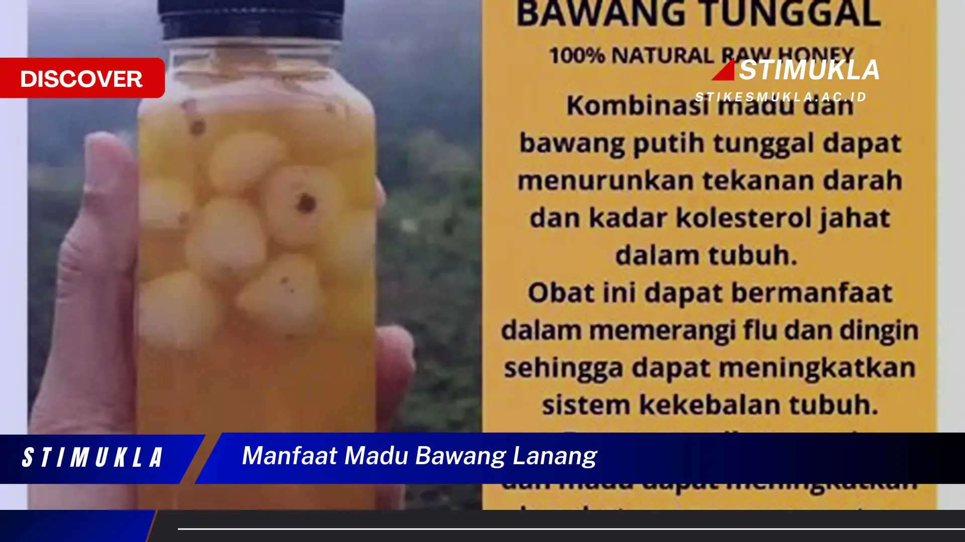 manfaat madu bawang lanang