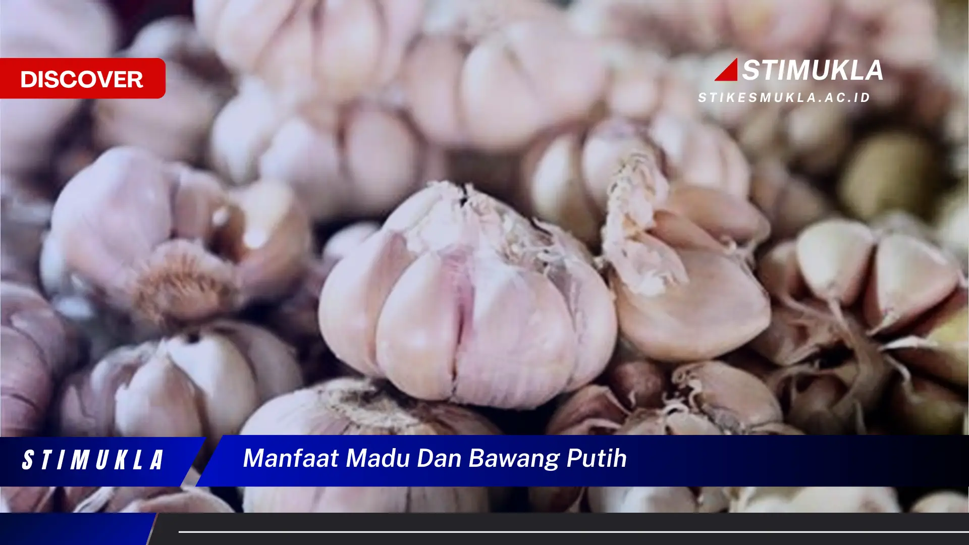 manfaat madu dan bawang putih