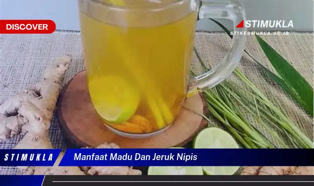 manfaat madu dan jeruk nipis