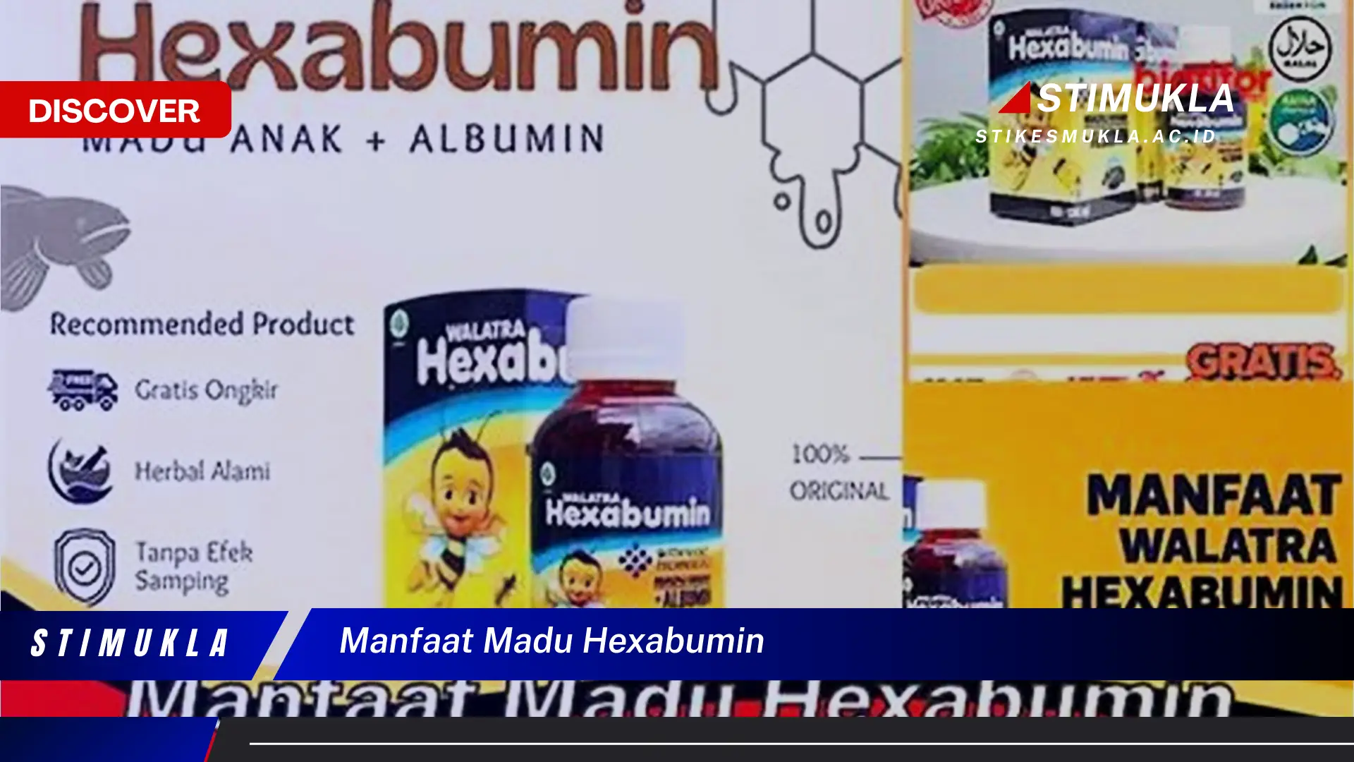 manfaat madu hexabumin