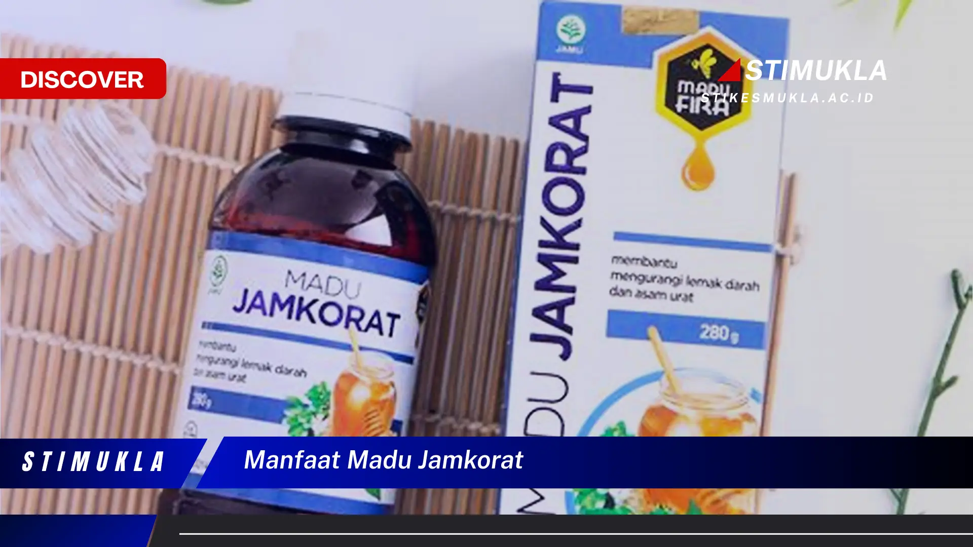 manfaat madu jamkorat