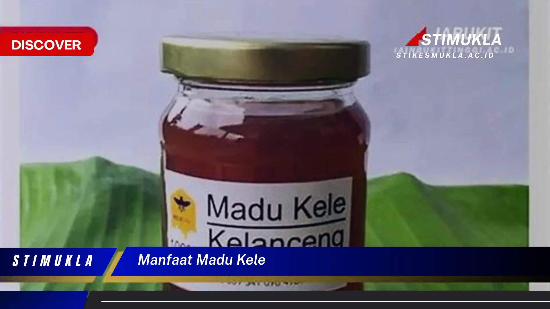 manfaat madu kele