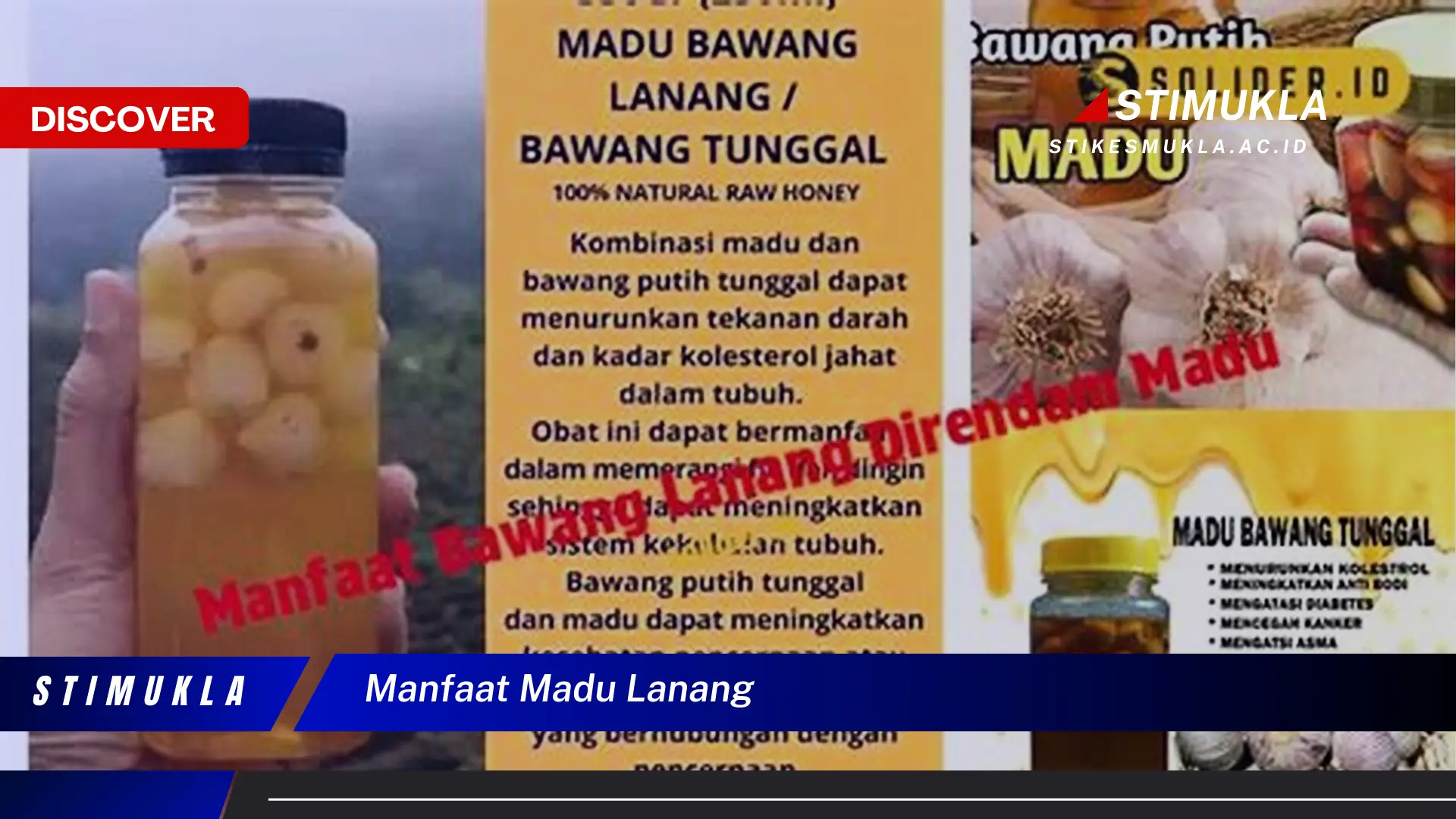 manfaat madu lanang