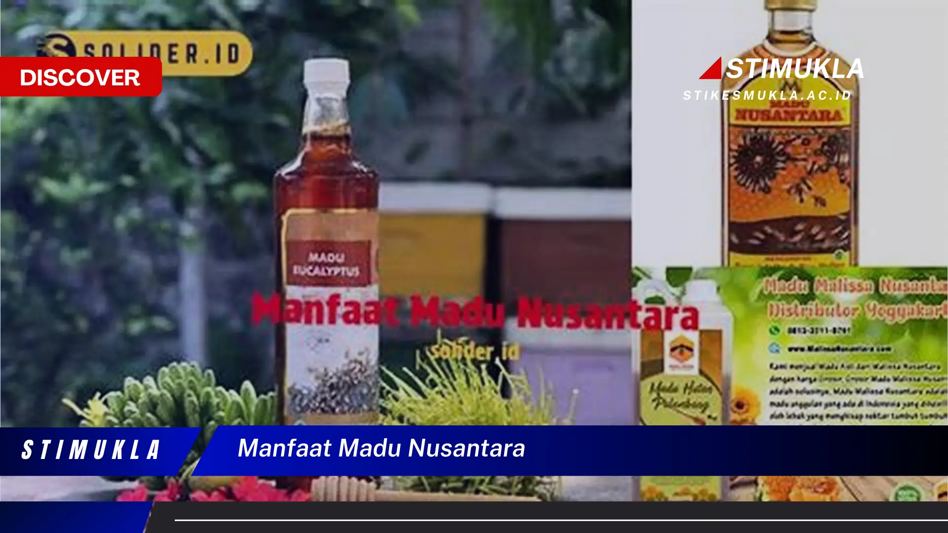 manfaat madu nusantara