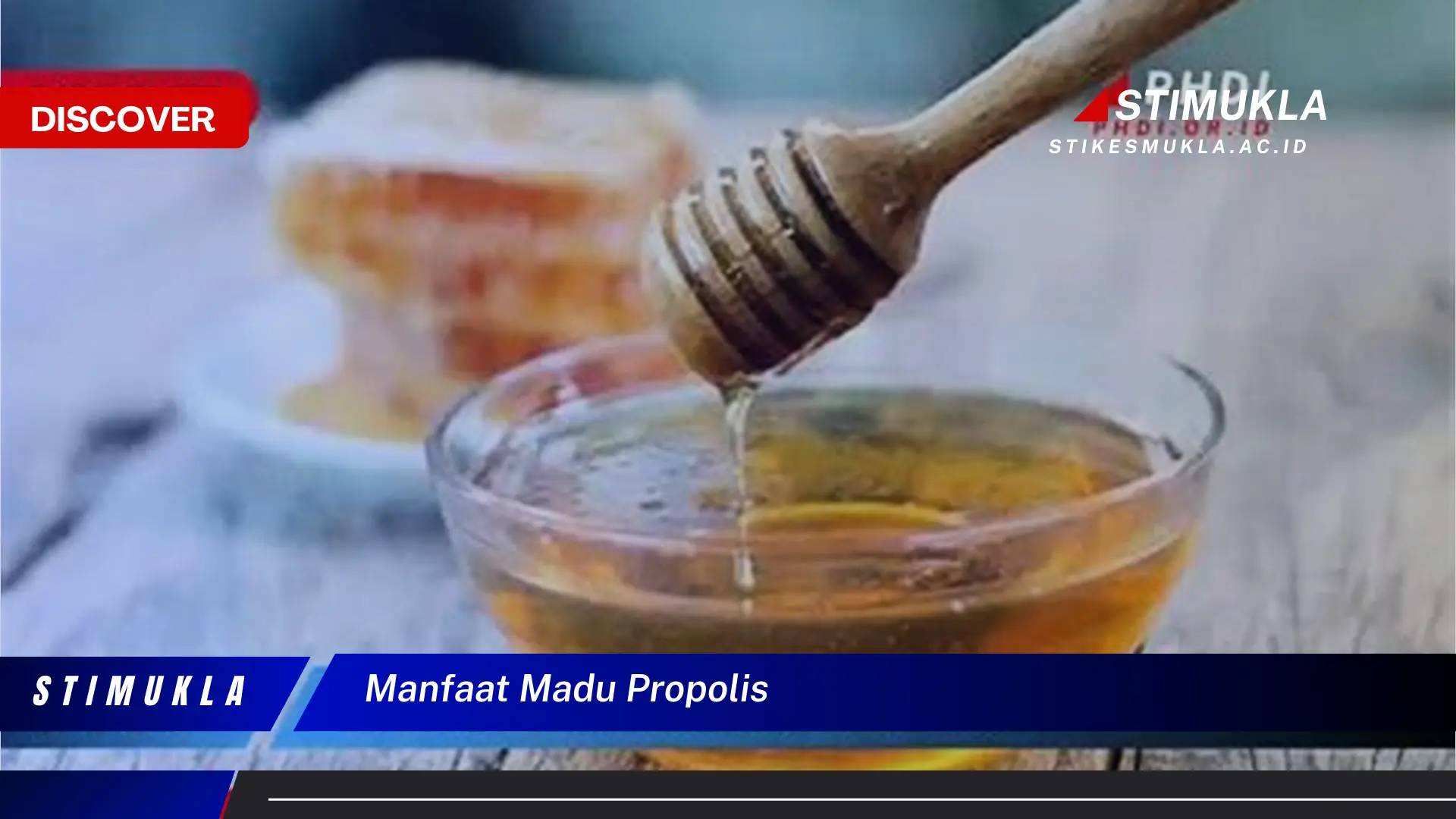 manfaat madu propolis