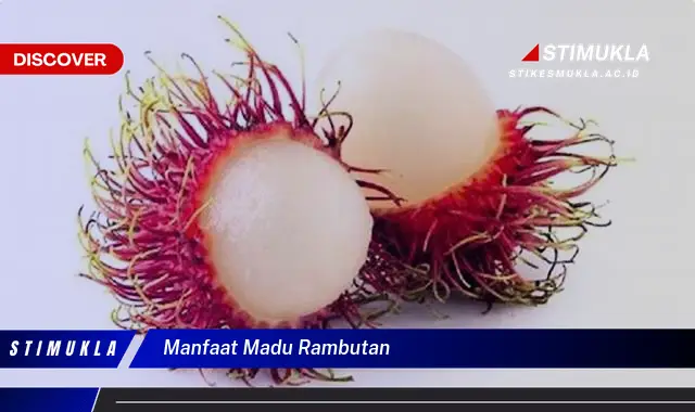 manfaat madu rambutan