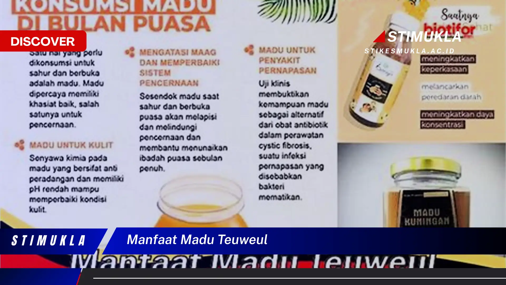 Temukan 10 Manfaat Madu Teuweul yang Jarang Diketahui dan Bikin Kamu Penasaran