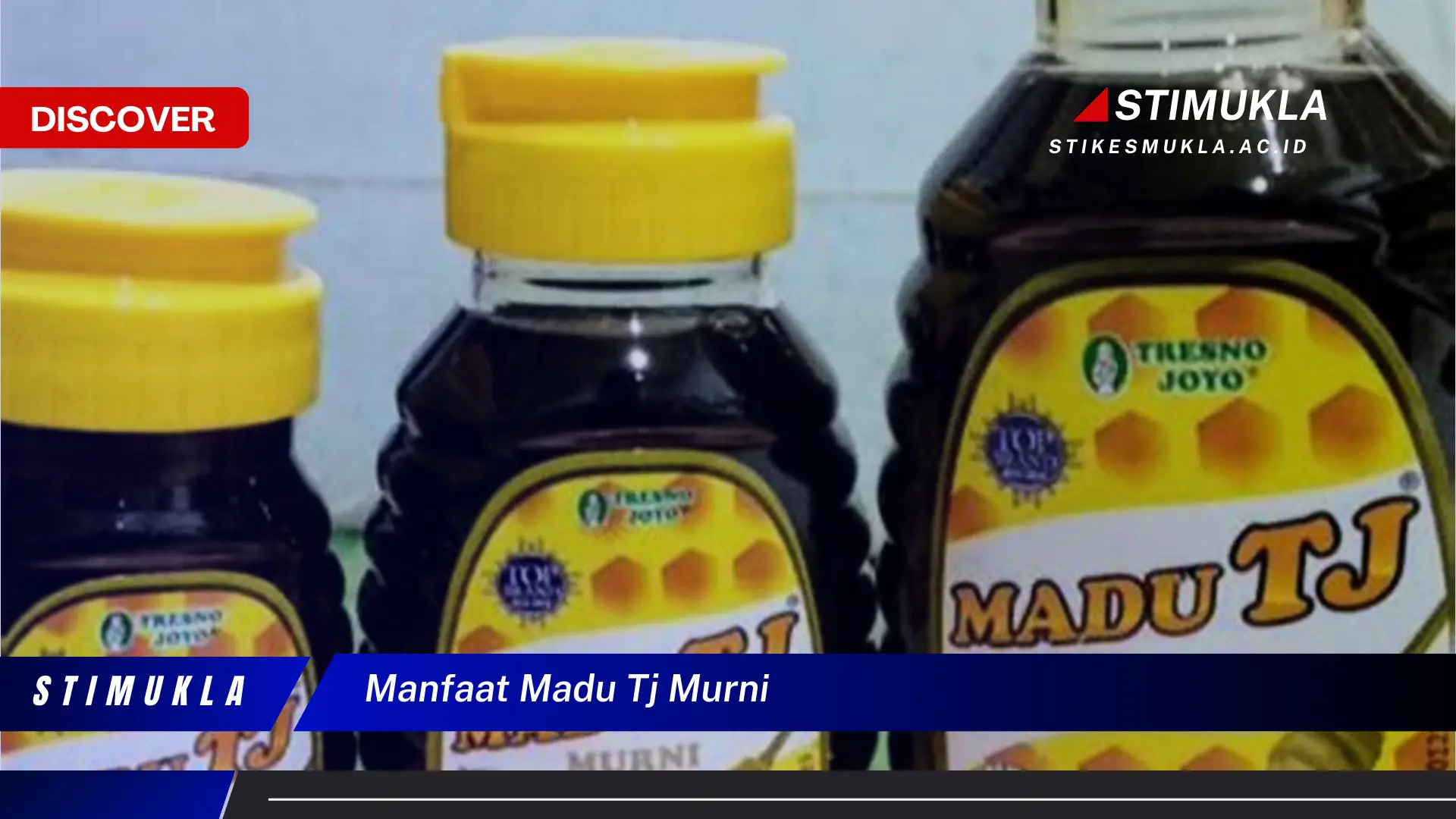 manfaat madu tj murni