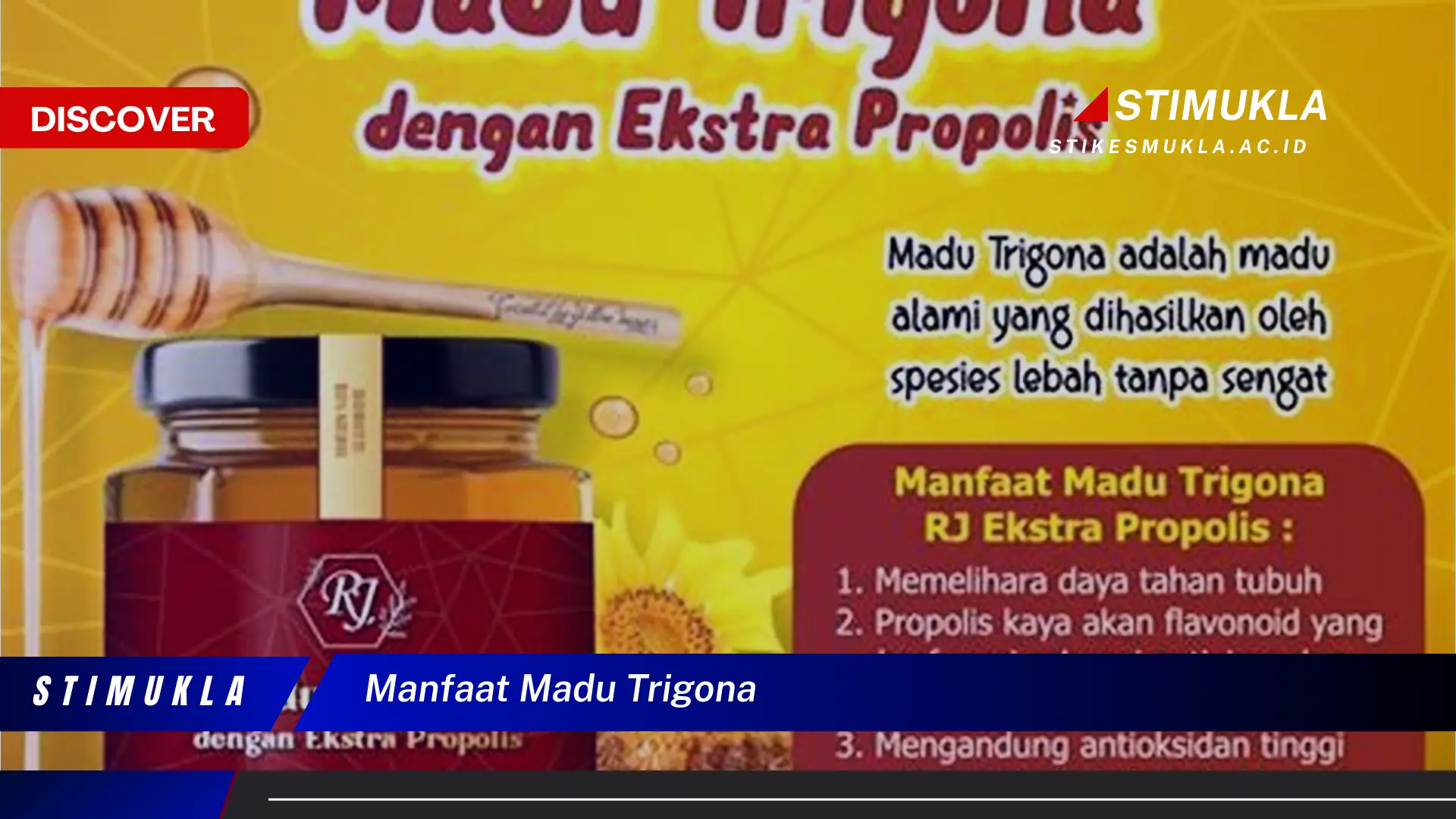 manfaat madu trigona manfaat madu trigona