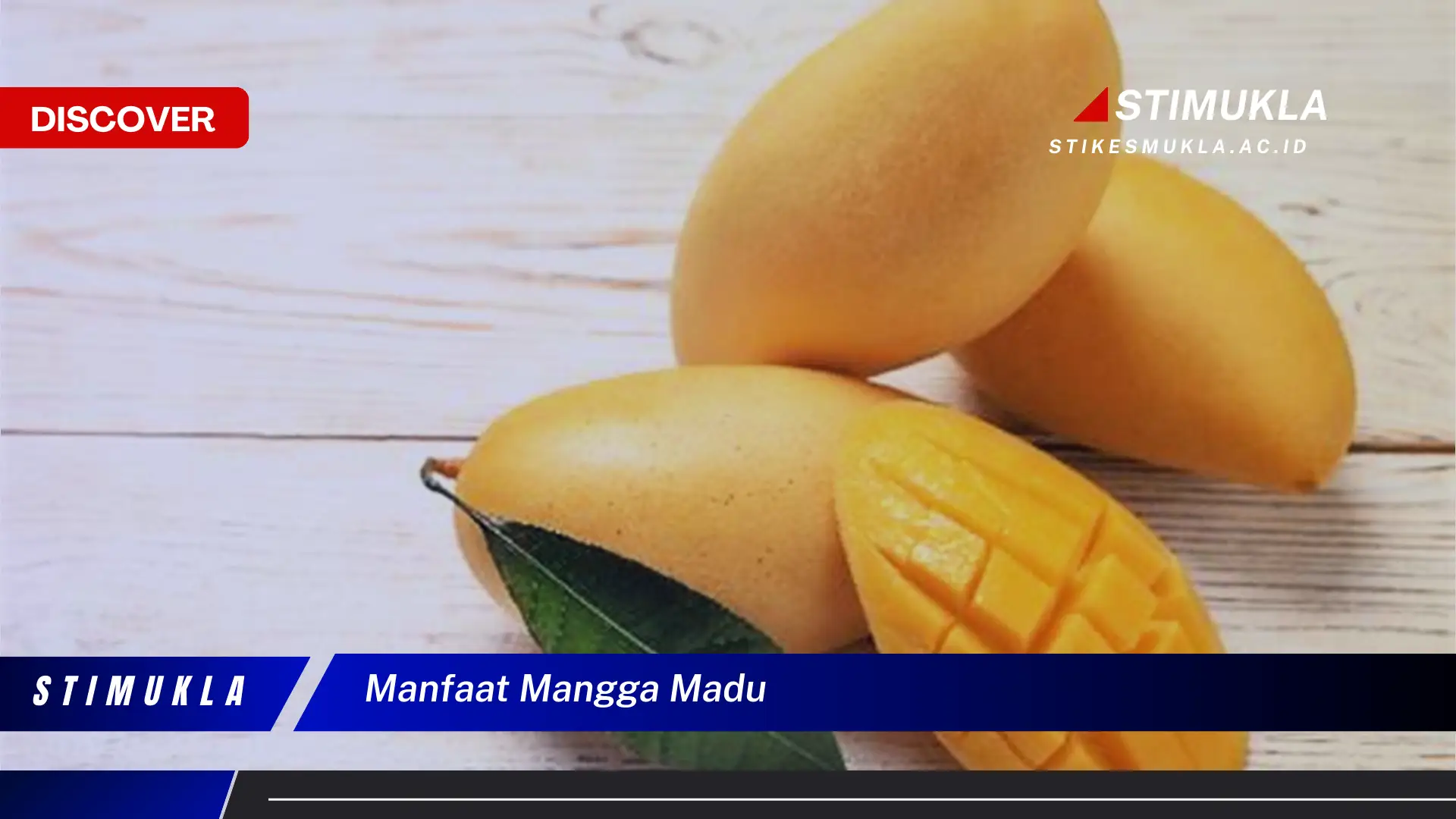 manfaat mangga madu manfaat mangga madu