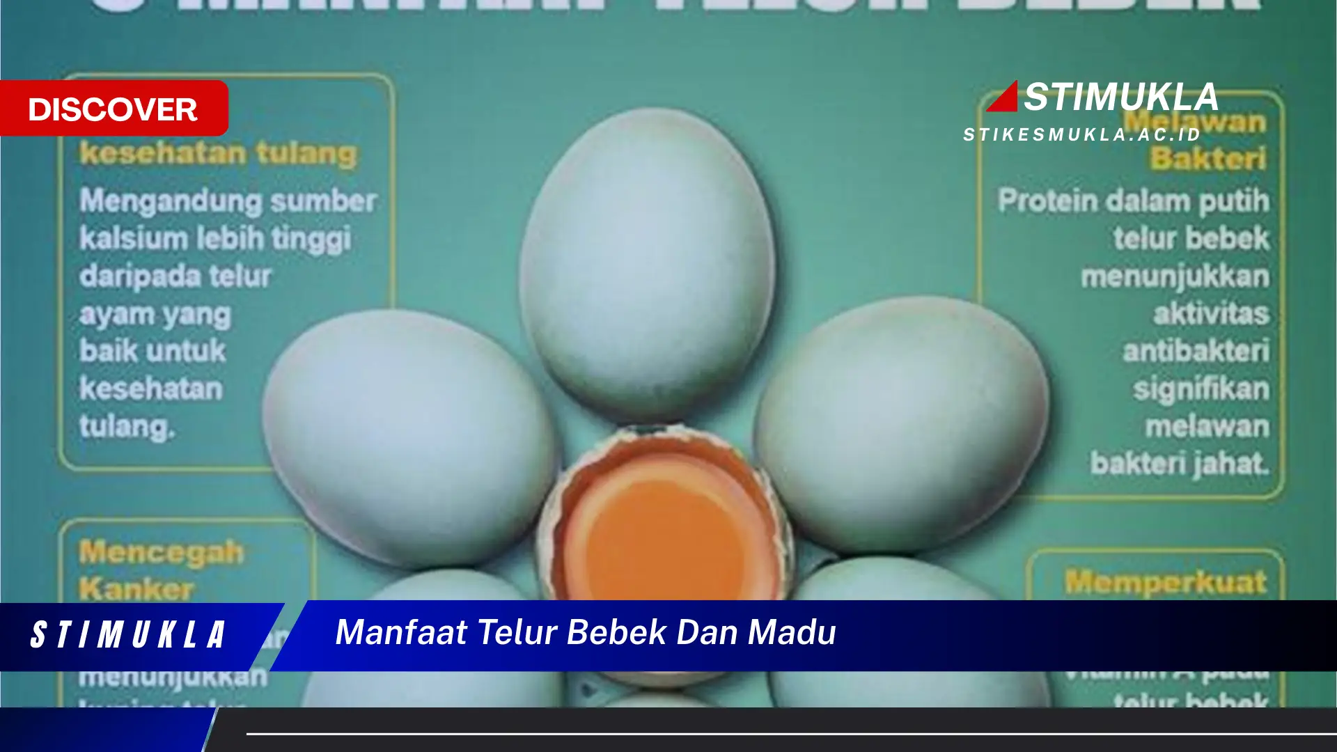 manfaat telur bebek dan madu