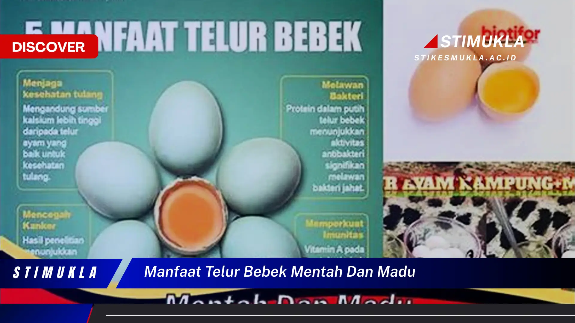 manfaat telur bebek mentah dan madu