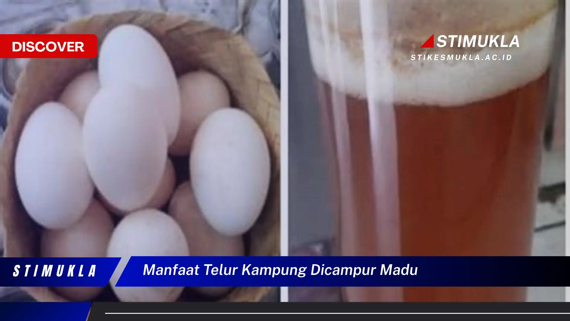 manfaat telur kampung dicampur madu