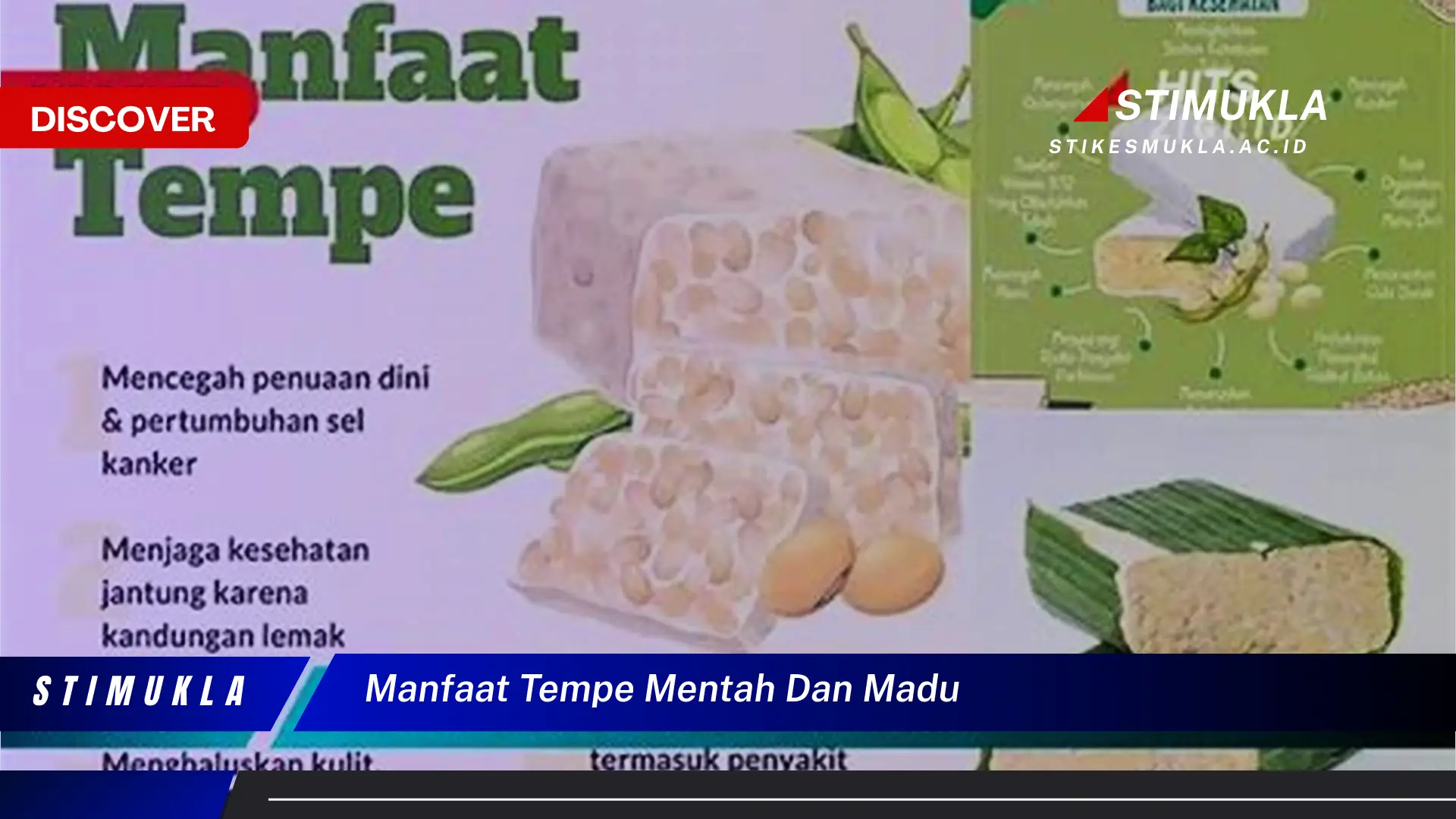 manfaat tempe mentah dan madu