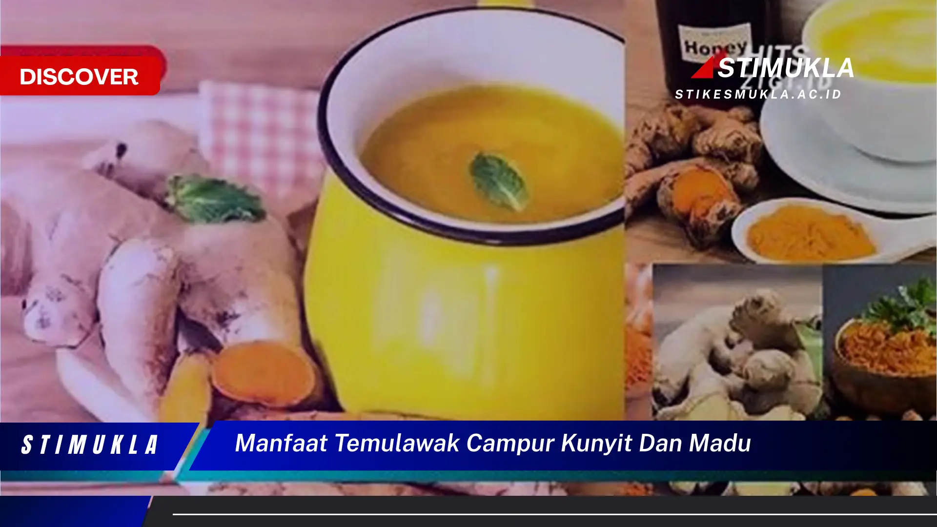 manfaat temulawak campur kunyit dan madu