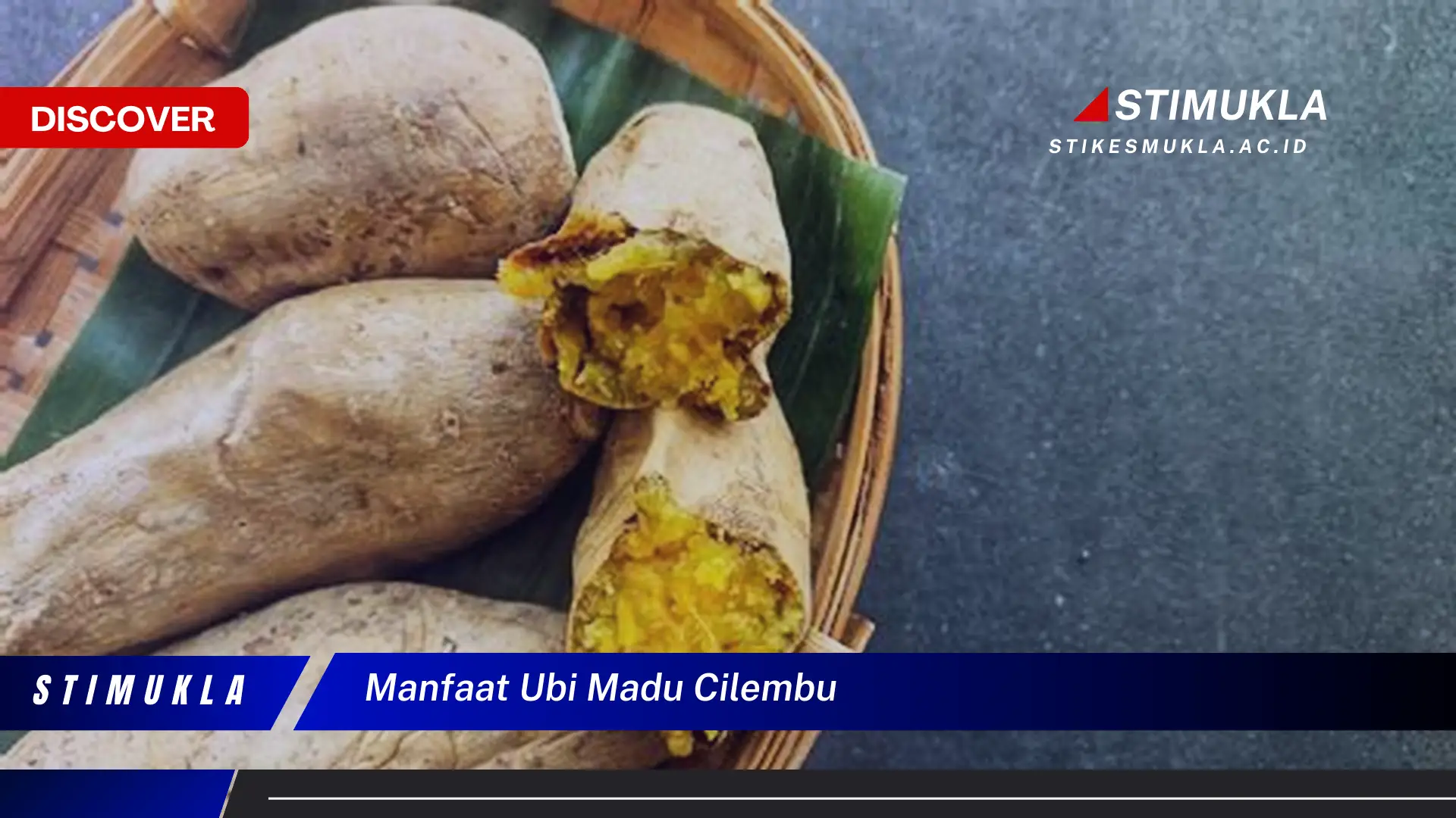 manfaat ubi madu cilembu