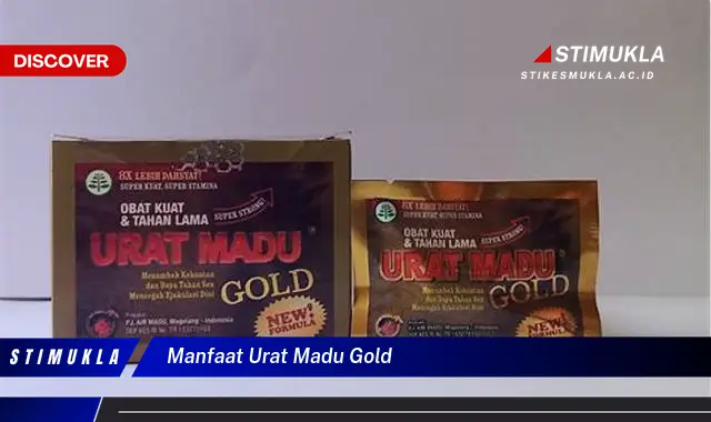 manfaat urat madu gold