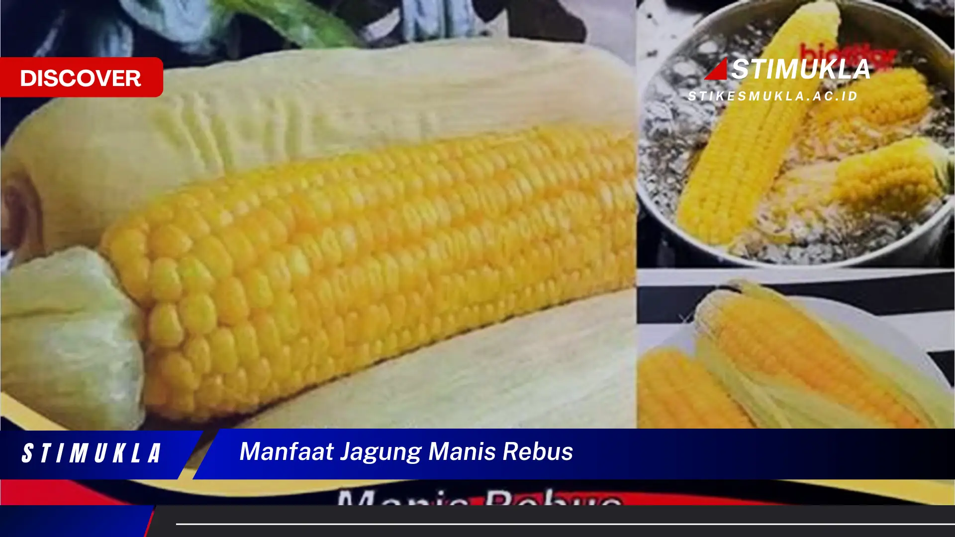 manfaat jagung manis rebus