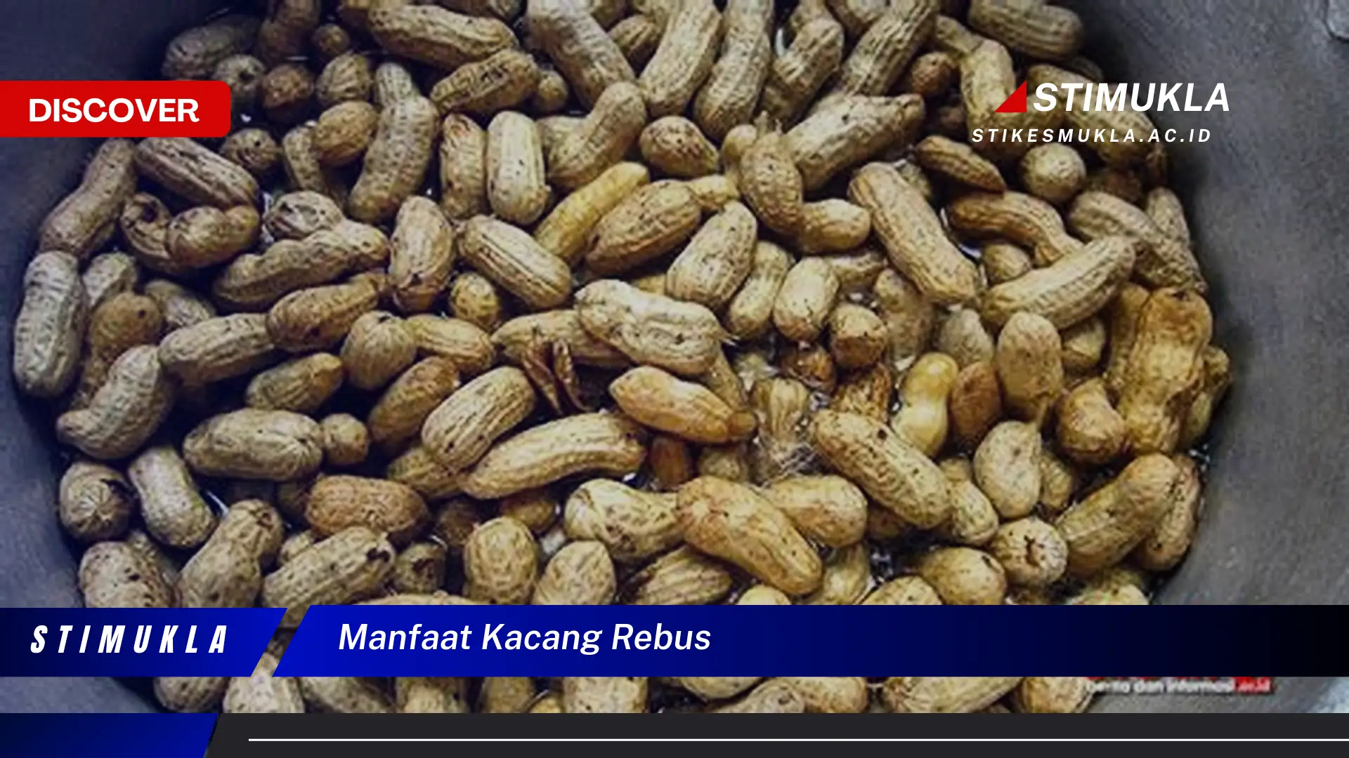 manfaat kacang rebus