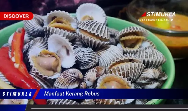 manfaat kerang rebus