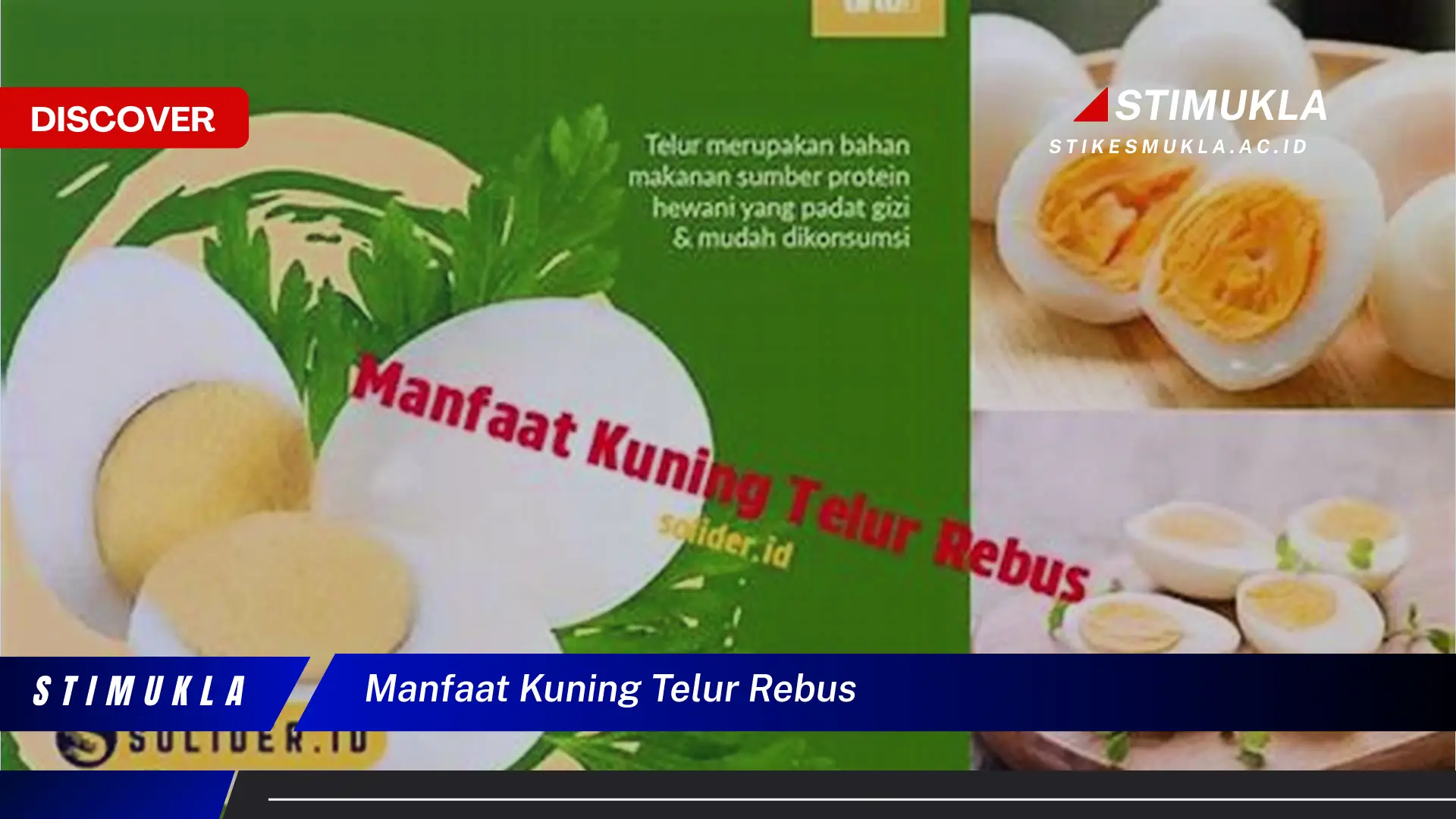 manfaat kuning telur rebus