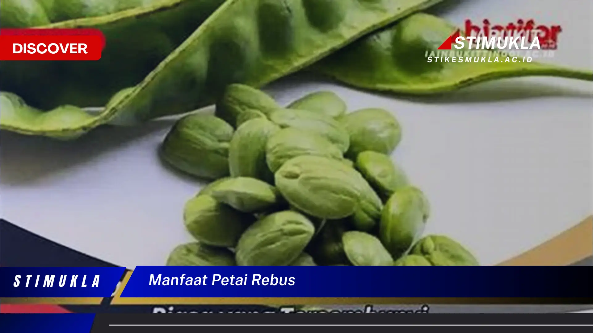 manfaat petai rebus