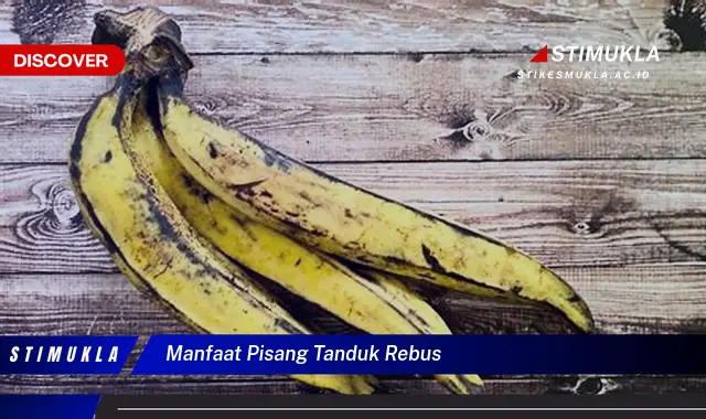 manfaat pisang tanduk rebus