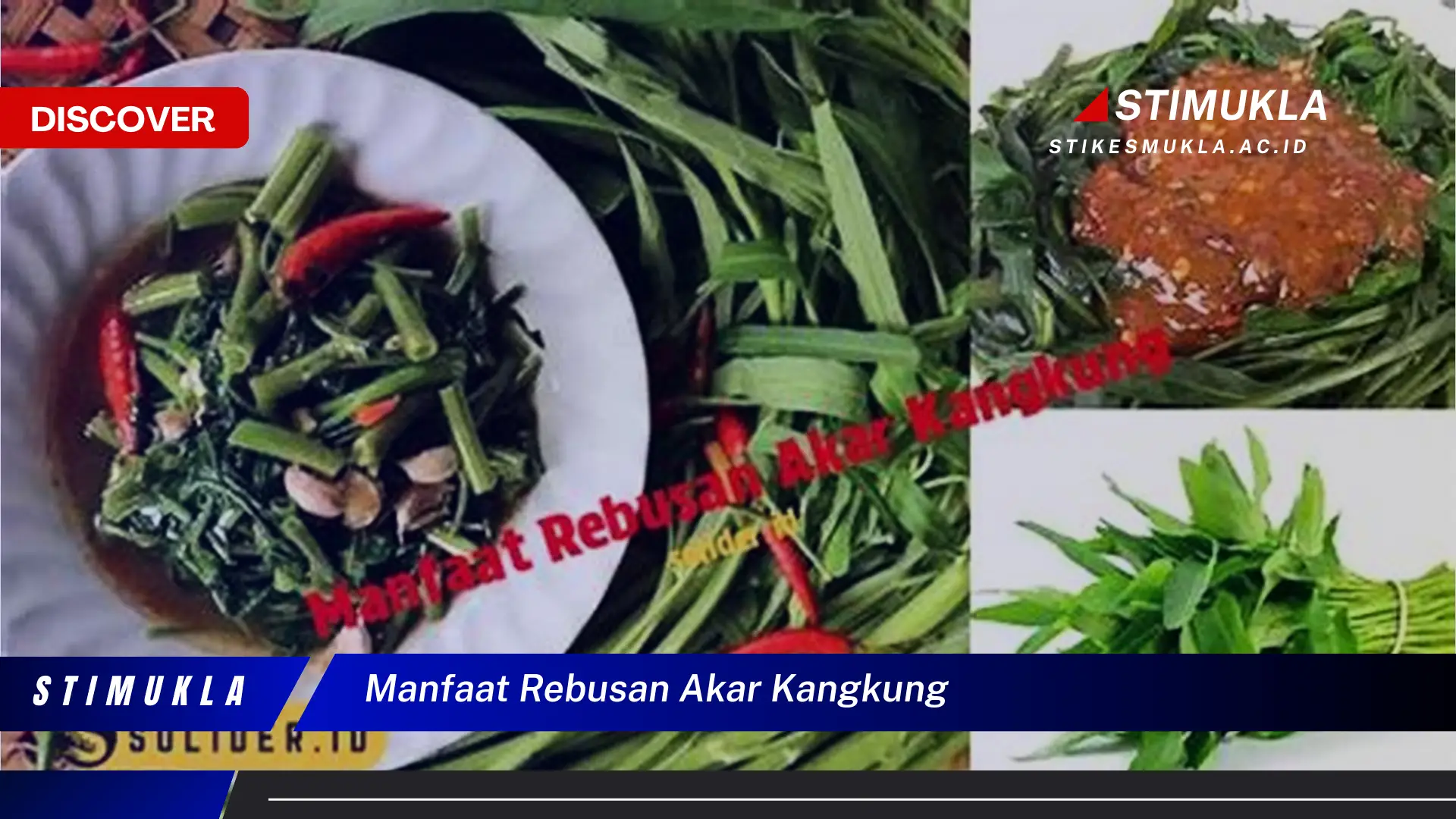 manfaat rebusan akar kangkung