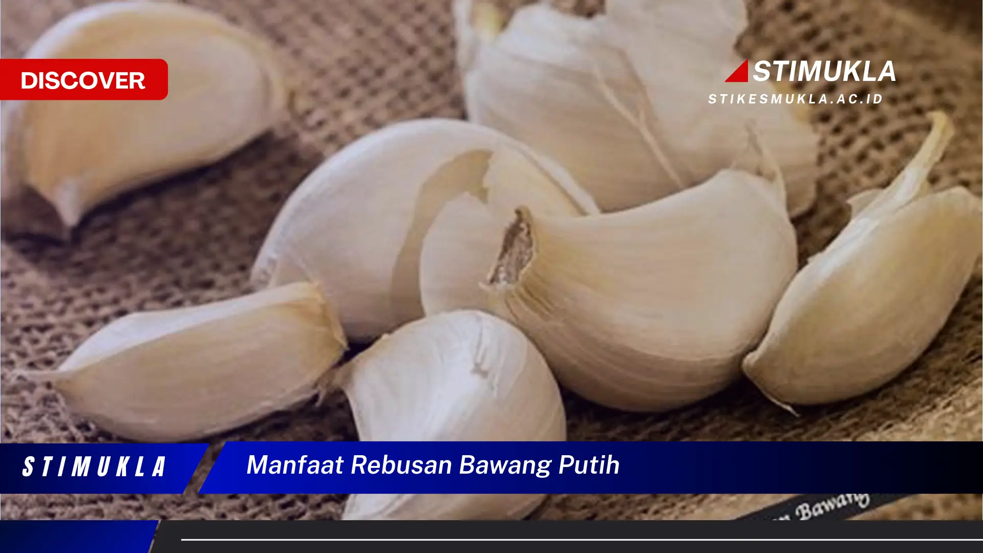 manfaat rebusan bawang putih