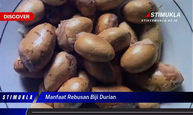 manfaat rebusan biji durian