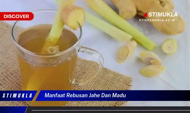 manfaat rebusan jahe dan madu