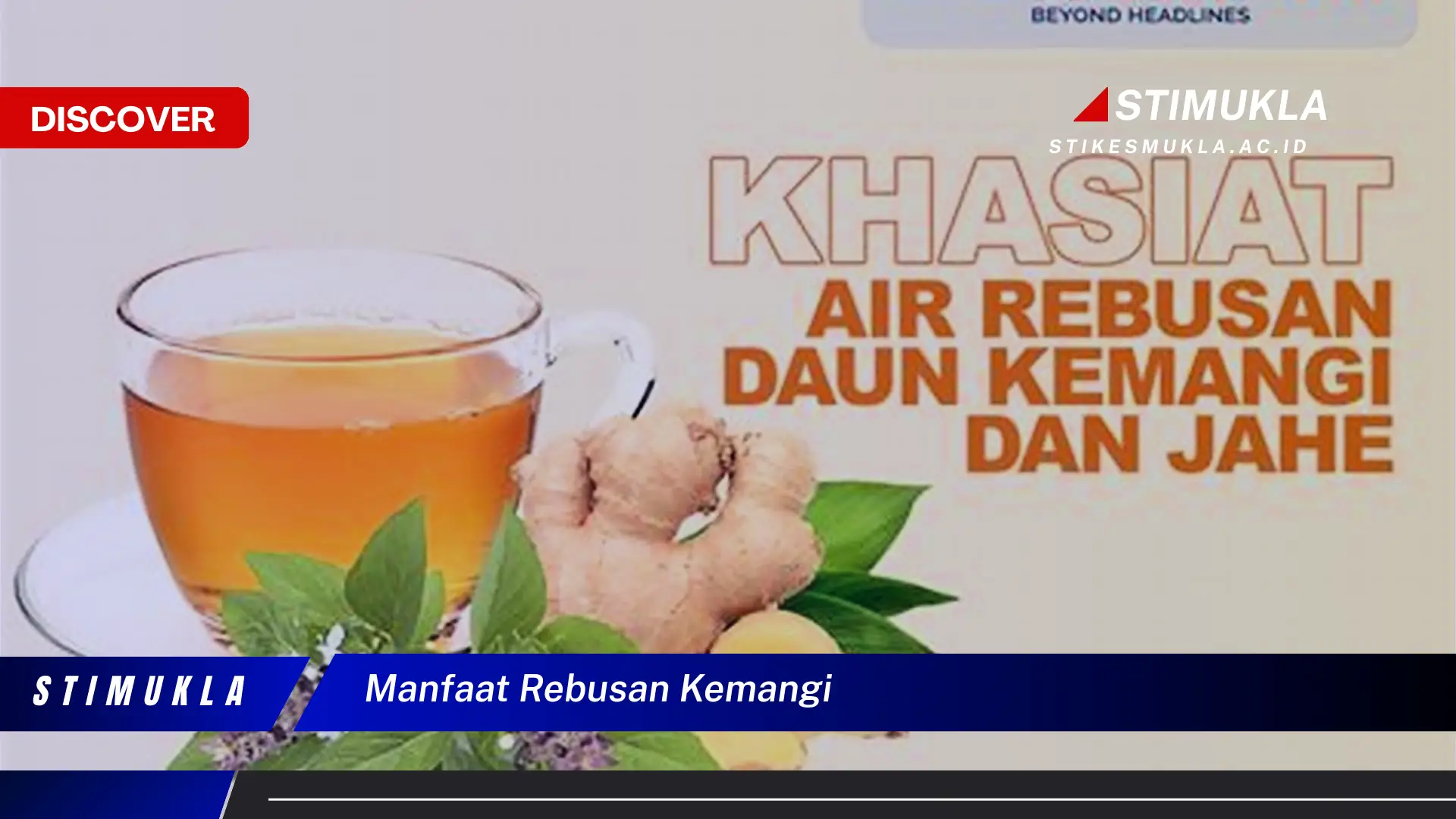 manfaat rebusan kemangi