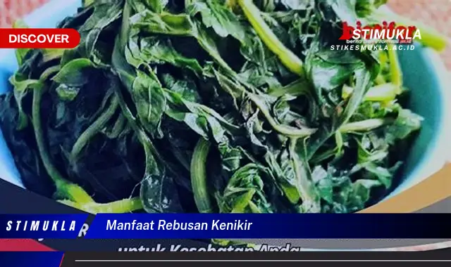 manfaat rebusan kenikir