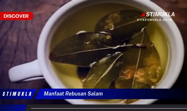 manfaat rebusan salam