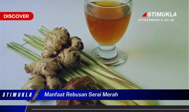 manfaat rebusan serai merah