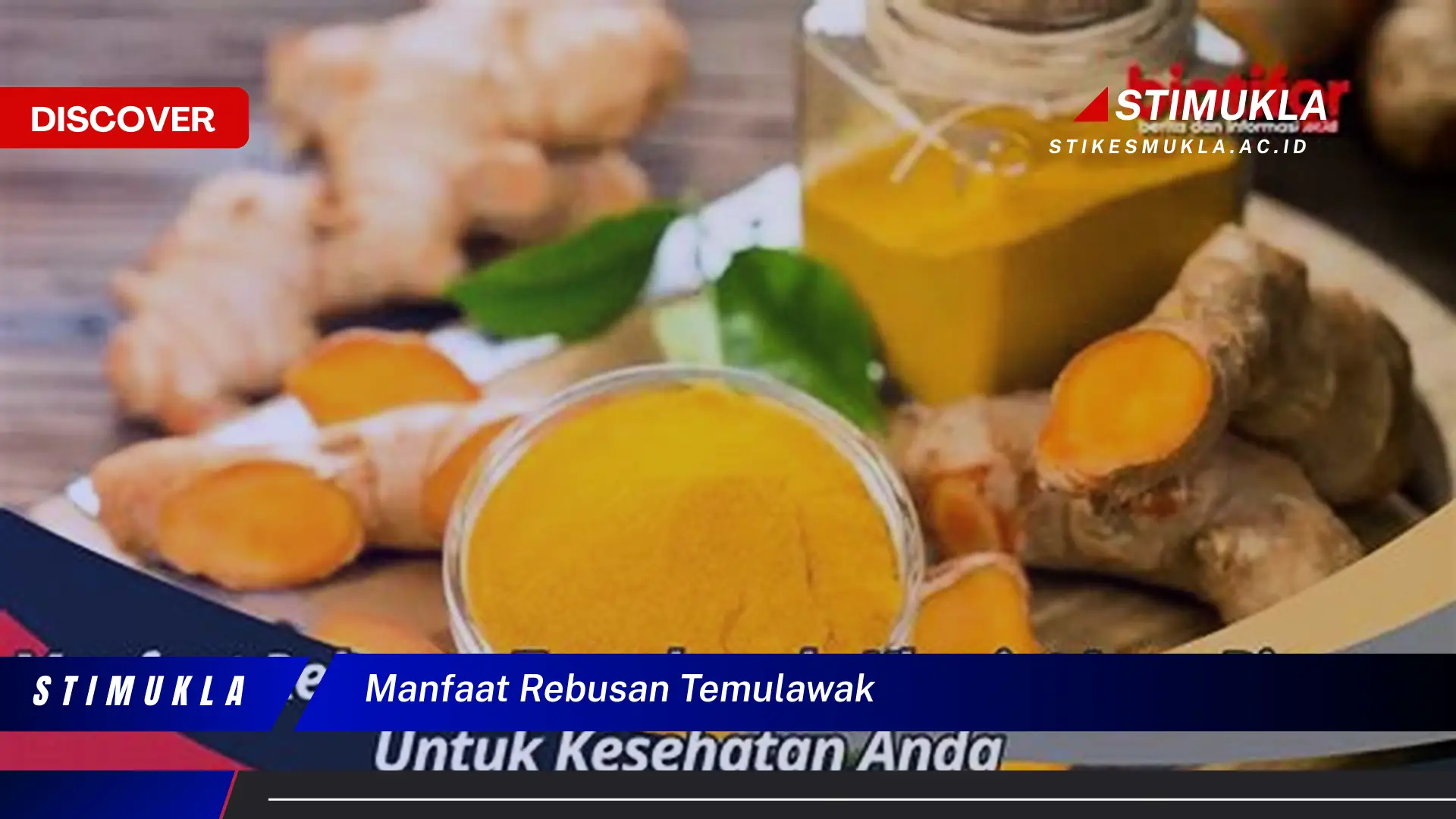 manfaat rebusan temulawak