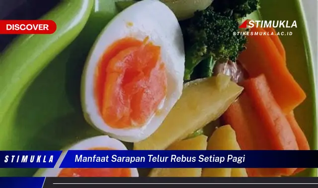 manfaat sarapan telur rebus setiap pagi