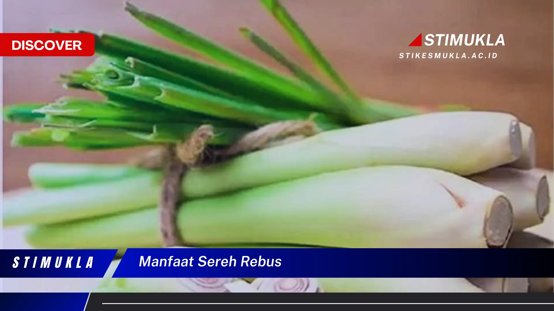 manfaat sereh rebus