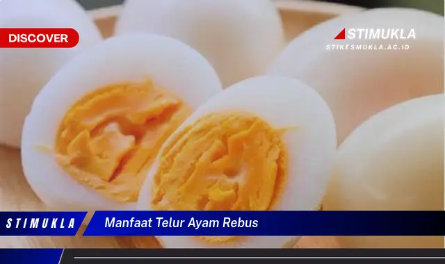 manfaat telur ayam rebus