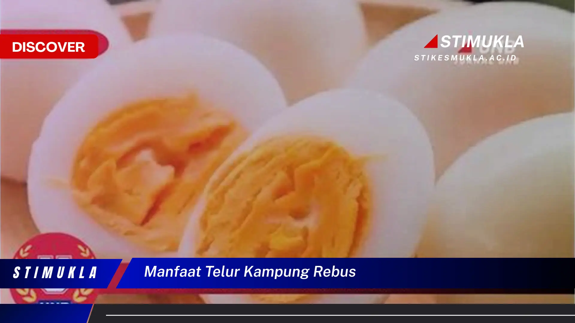 manfaat telur kampung rebus