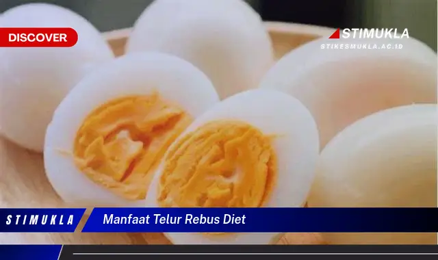 manfaat telur rebus diet