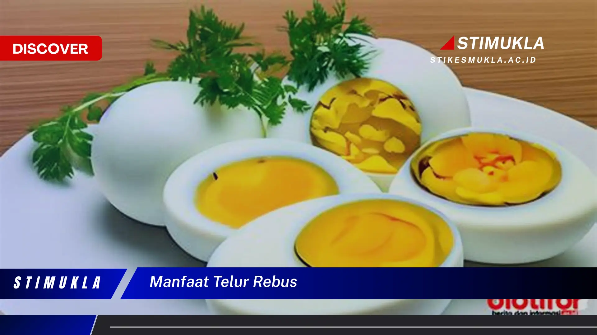 manfaat telur rebus