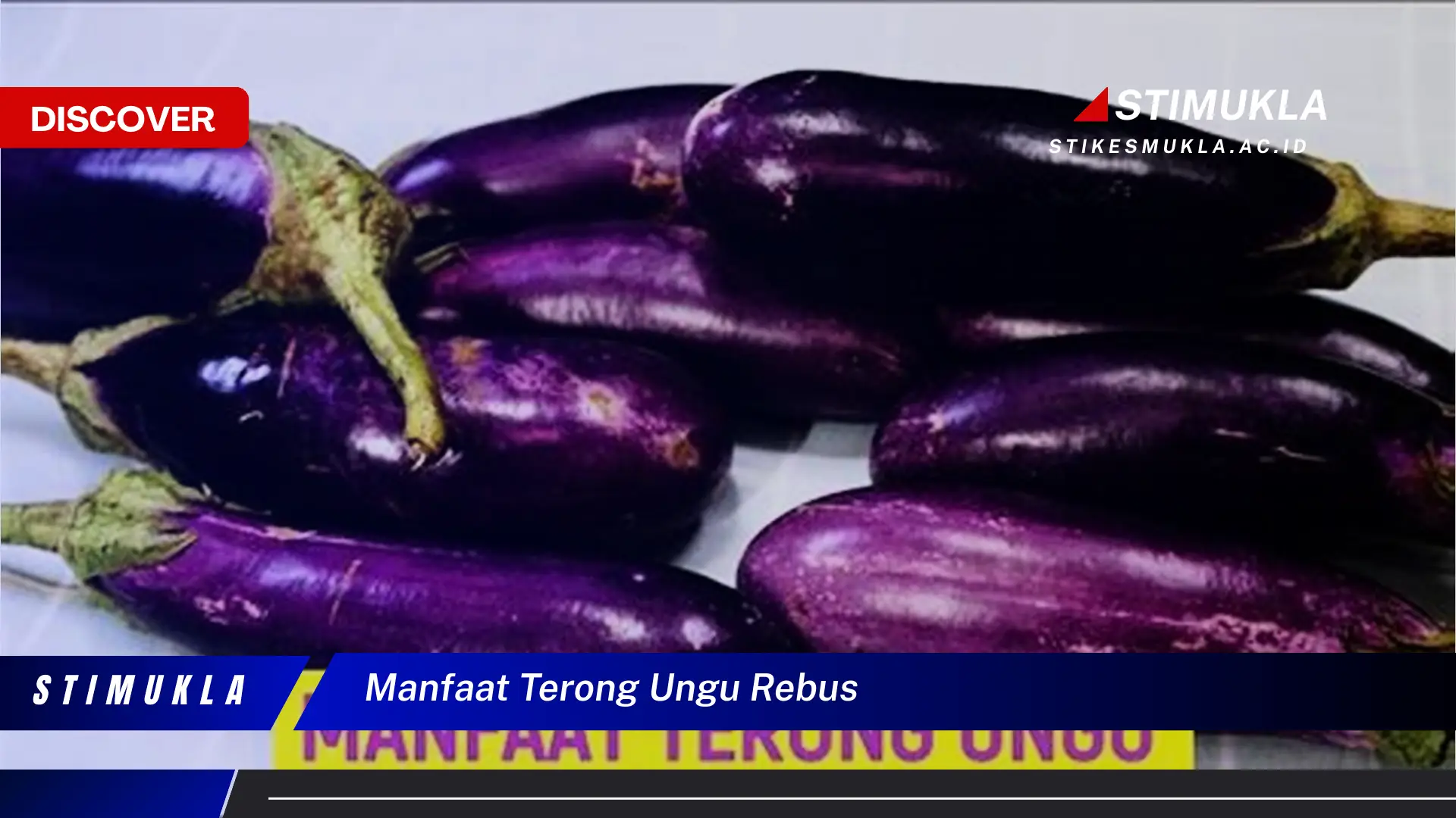 manfaat terong ungu rebus