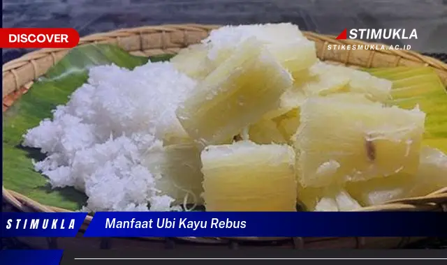 manfaat ubi kayu rebus