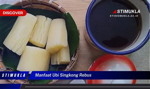 manfaat ubi singkong rebus