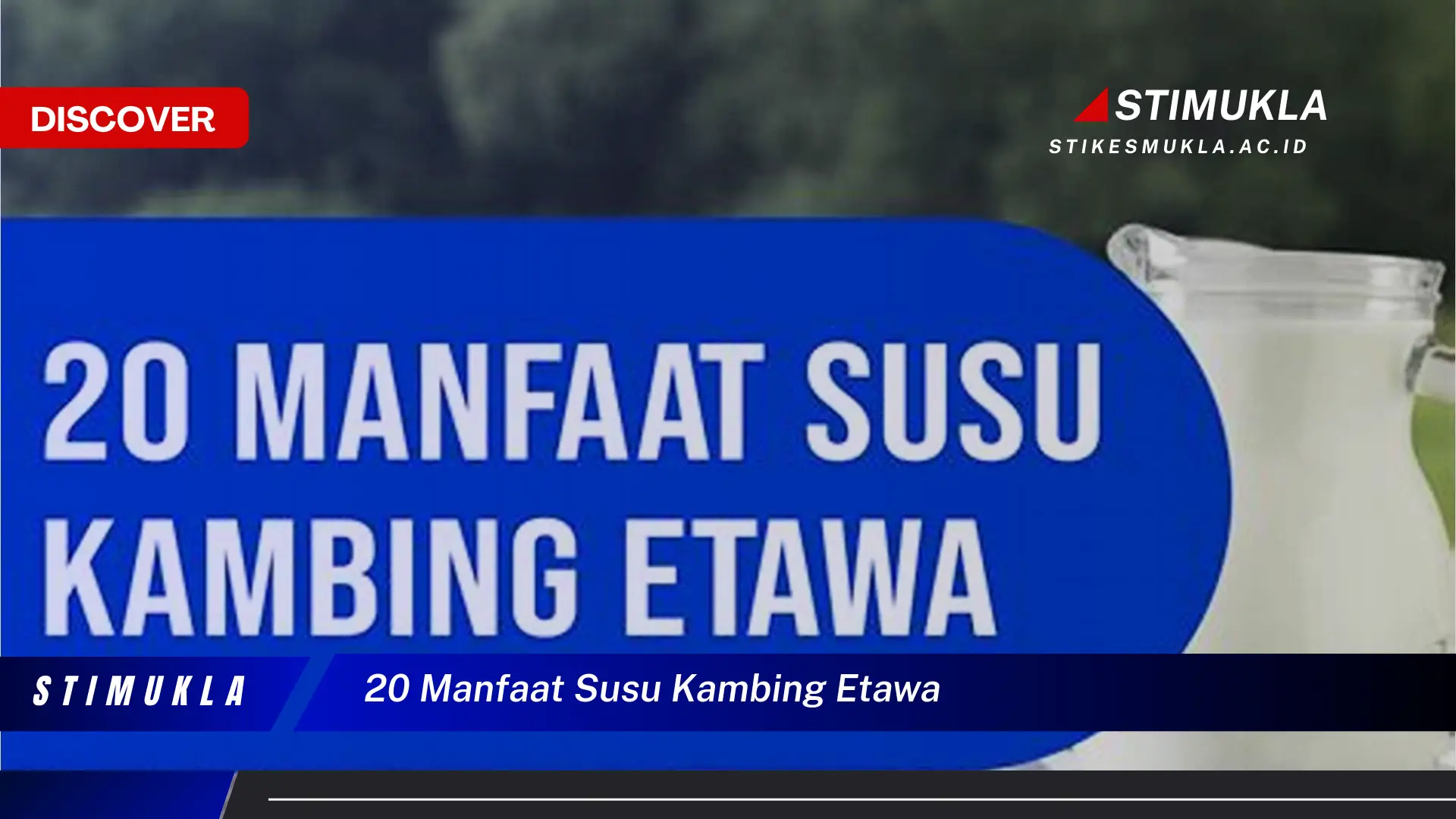 20 manfaat susu kambing etawa 20 manfaat susu kambing etawa