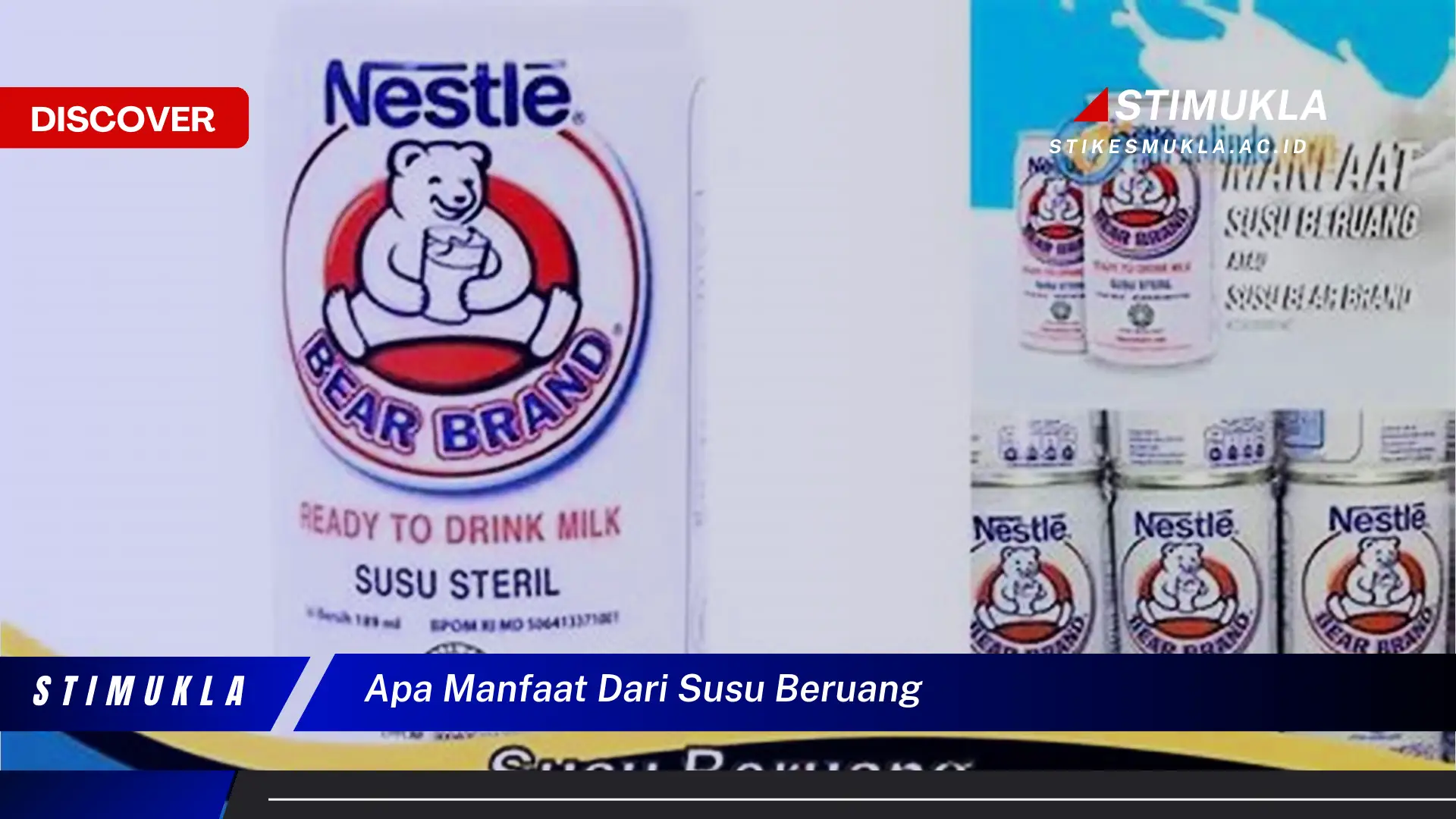 apa manfaat dari susu beruang